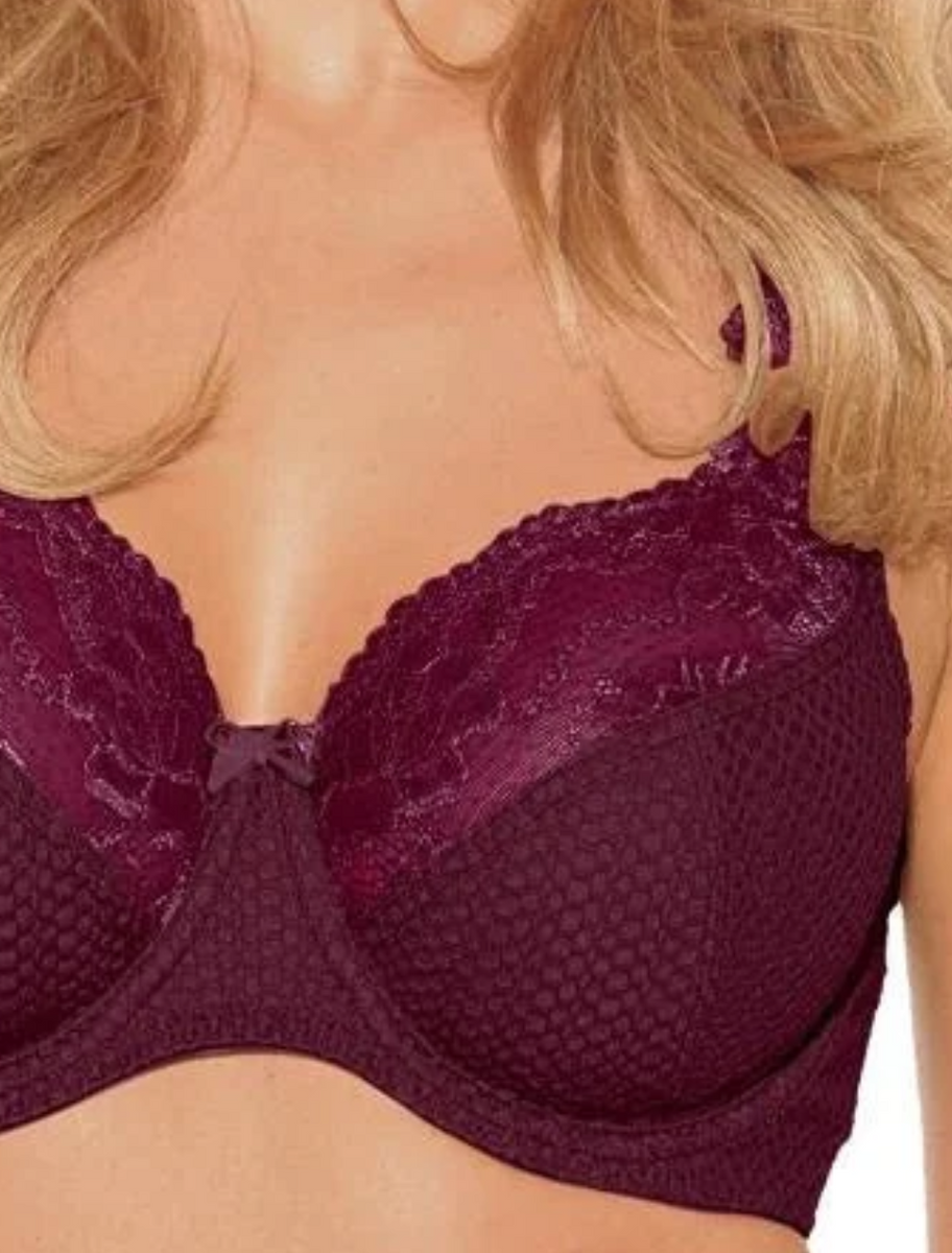 Buy online Wine Colored Stretchable Laced Floral Full Cup Bra And