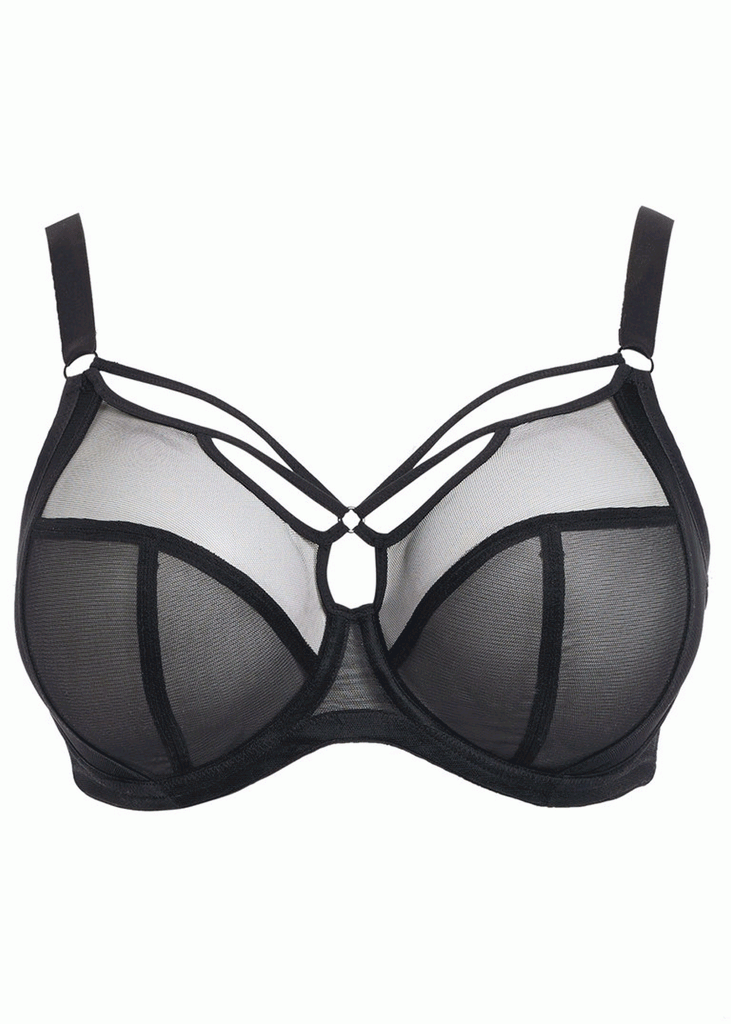 https://www.brasandhoney.com/cdn/shop/products/el4350-blk-cut-elomi-lingerie-sachi-black-plunge-bra-952-1333_1024x1024.gif?v=1584723196