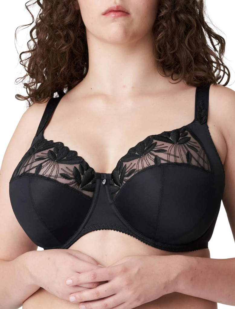 Size 34DD Full Coverage Plus Size Bras: Cups B-K